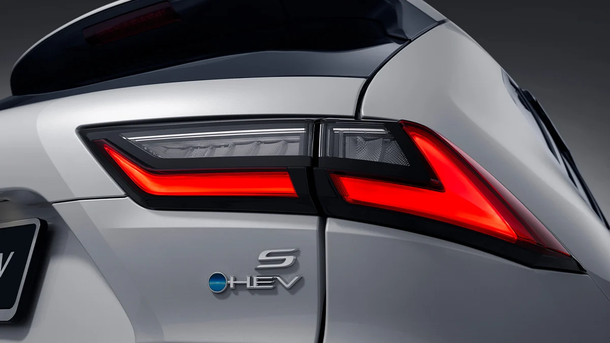 led-rear-combination-lamps